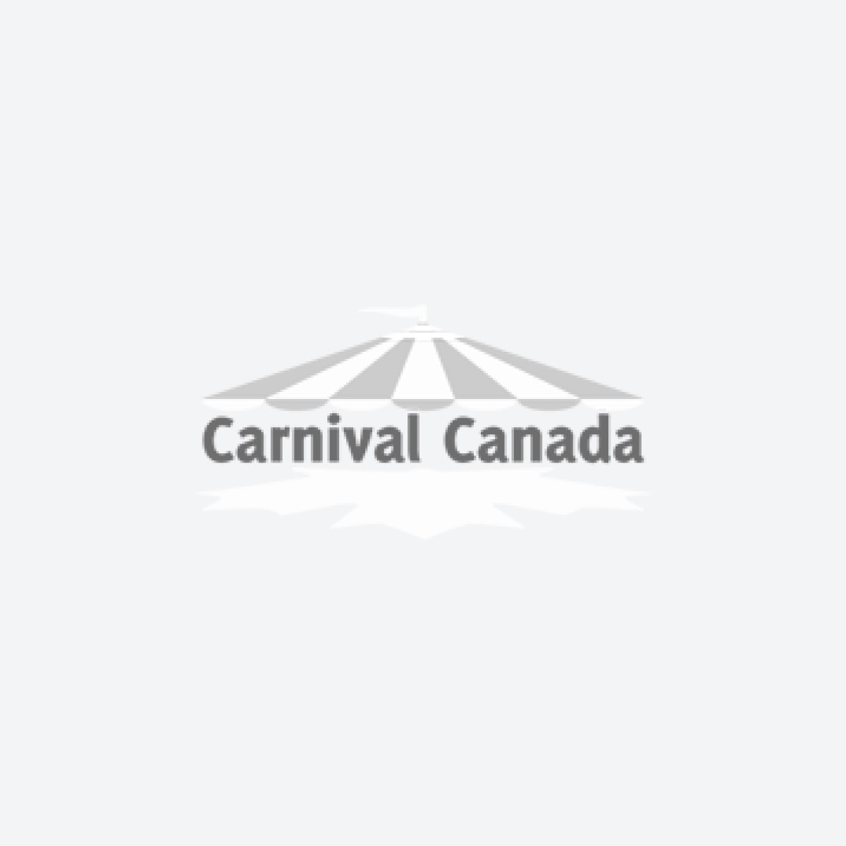 Prize Wheels | Raffle Drums | Popcorn Machines | Plinko - Carnival ...
